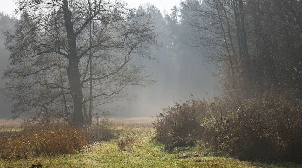 Neue Woche bringt kühlere Temperaturen und Schneeregen in Berlin und Brandenburg