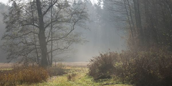 Neue Woche bringt kühlere Temperaturen und Schneeregen in Berlin und Brandenburg