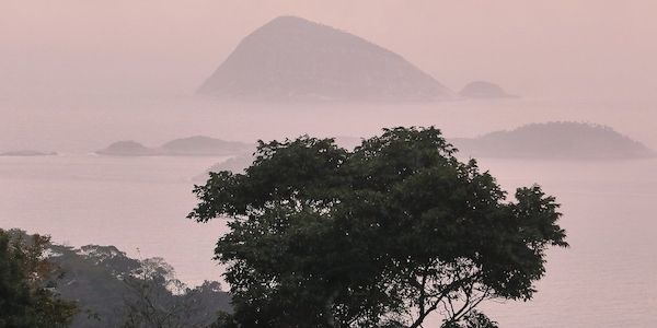 Deutschland stellt eine Milliarde für Tropenfonds bereit