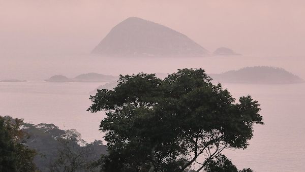 Deutschland stellt eine Milliarde für Tropenfonds bereit