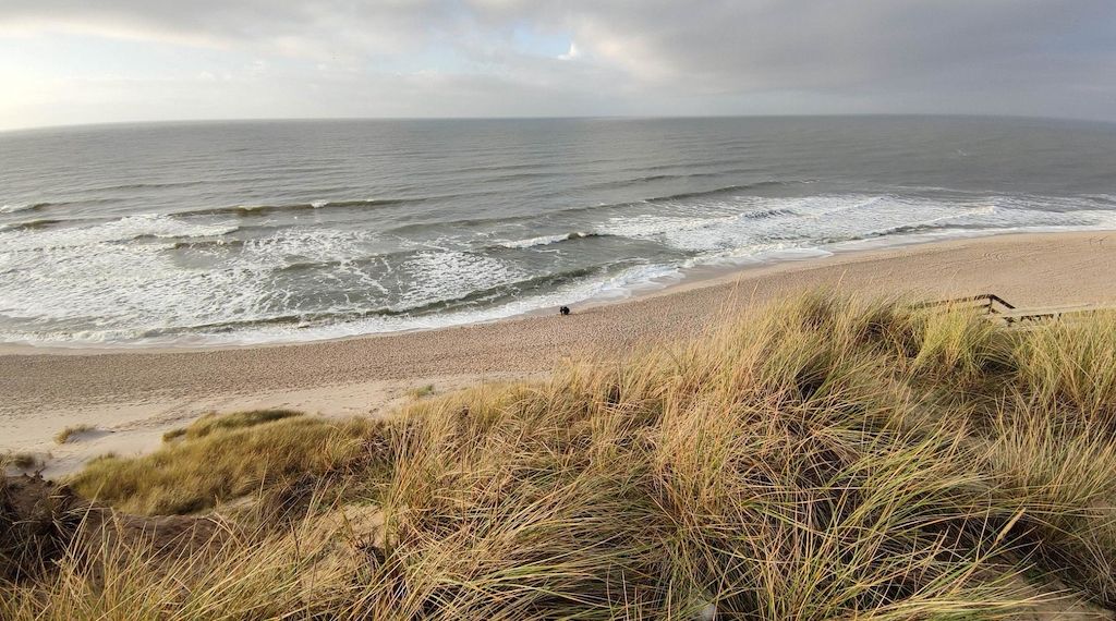 Wetterbericht für Schleswig-Holstein/Hamburg (23.11.2025)