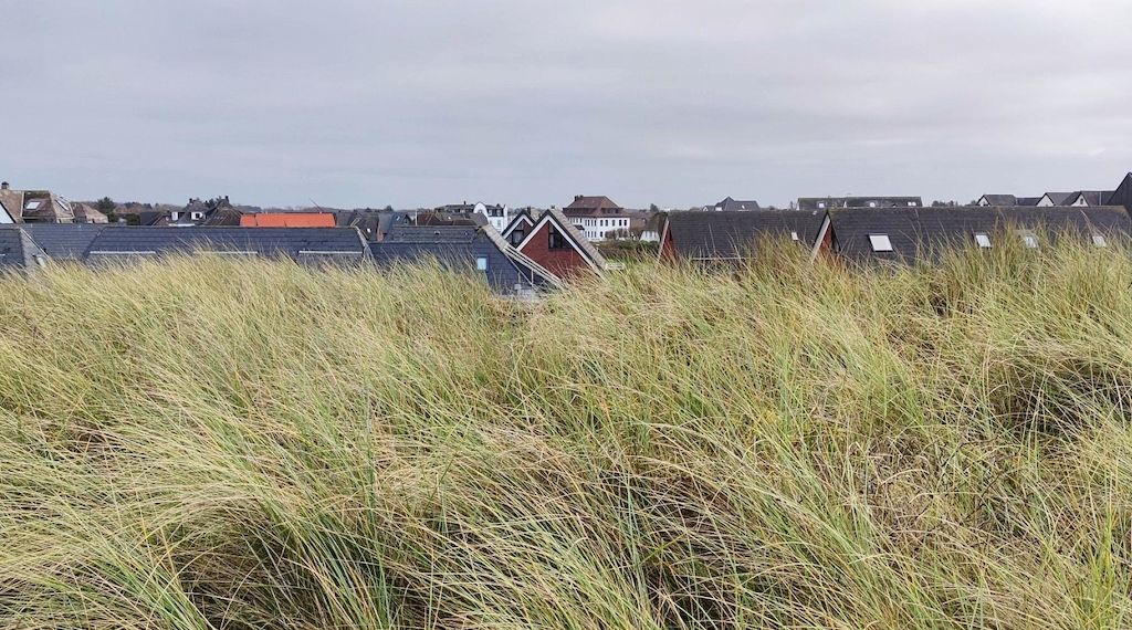 Wetterbericht für Schleswig-Holstein/Hamburg (24.11.2025)