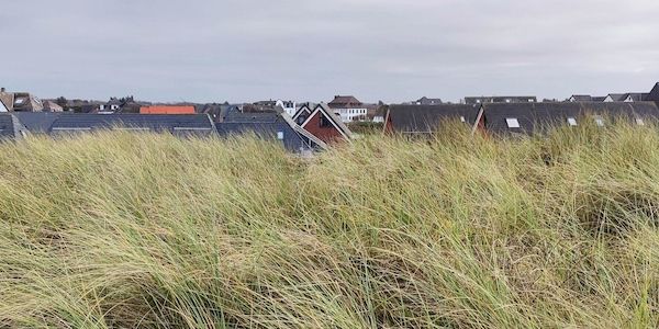 Wetterbericht für Schleswig-Holstein/Hamburg (24.11.2025)