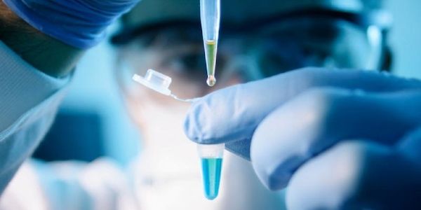 Deutsche Forschung setzt neuen Meilenstein in der Krebsmedizin