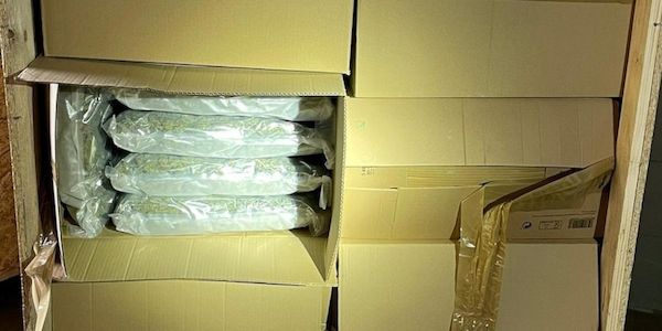 Zoll sichert 110 Kilo Marihuana in Dortmund