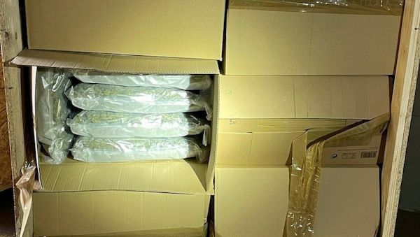 Zoll sichert 110 Kilo Marihuana in Dortmund