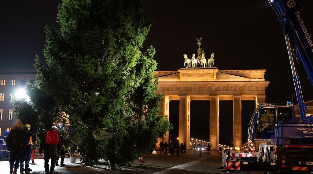 Berlin hat jetzt einen Weihnachtsbaum am Brandenburger Tor