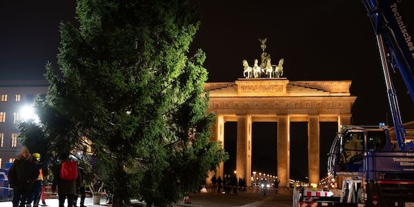 Berlin hat jetzt einen Weihnachtsbaum am Brandenburger Tor