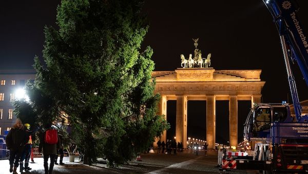 Berlin hat jetzt einen Weihnachtsbaum am Brandenburger Tor