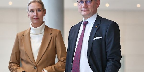 Forsa: AfD hält Führung - Union stabil