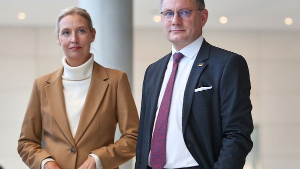 Forsa: AfD hält Führung - Union stabil