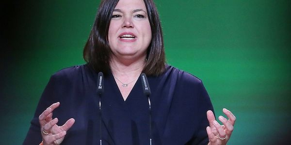 Fegebank rät Grünen zu mehr Mut zu unbequemen Wahrheiten