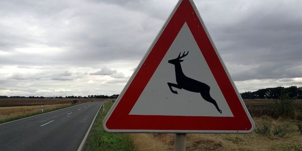 Bayern stärkt Naturschutz mit Landesmitteln