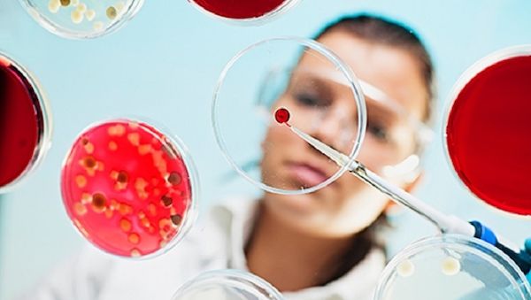 Bio-Recycling von Kunststoff: Mikroben machen aus Plastik neue Wertstoffe