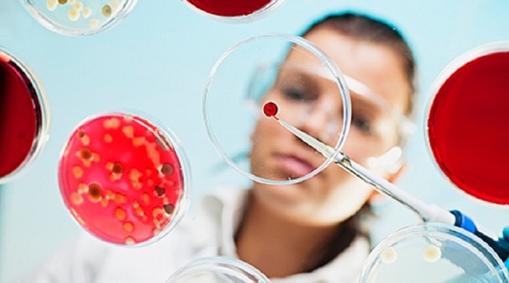 Vom Plastikmüll zur wertvollen Ressource: Mikroben machen aus Plastik neue Wertstoffe