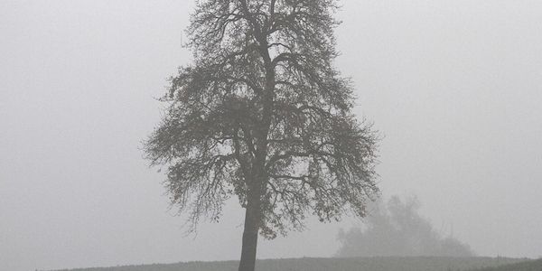 Wetterbericht für Baden-Württemberg (27.11.2025)
