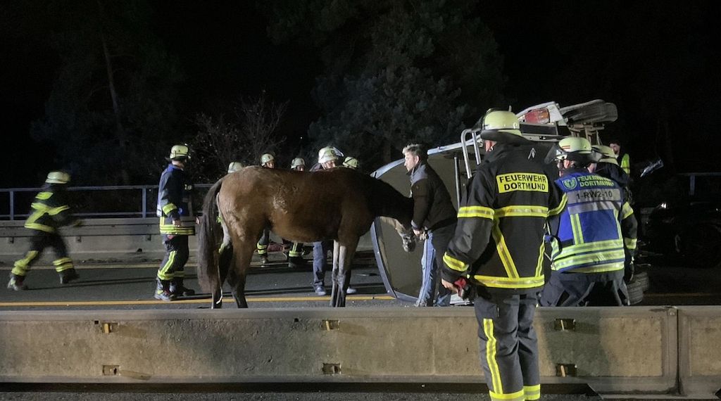 Auffahrunfall mit Pferdeanhänger auf Dortmunder Autobahn