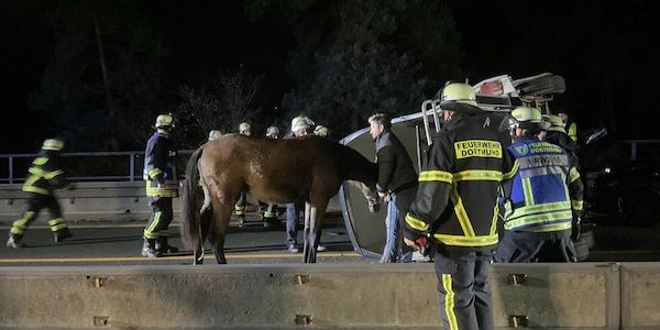 Auffahrunfall mit Pferdeanhänger auf Dortmunder Autobahn