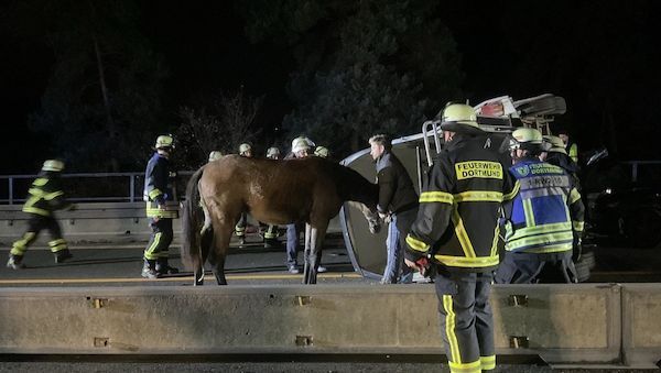 Auffahrunfall mit Pferdeanhänger auf Dortmunder Autobahn