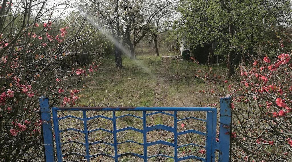 Brandenburg fördert Kleingärten mit jährlich 250.000 Euro