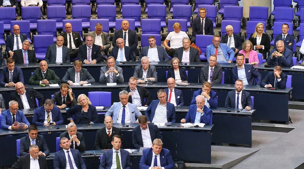 Mercosur-Abkommen spaltet AfD-Bundestagsfraktion