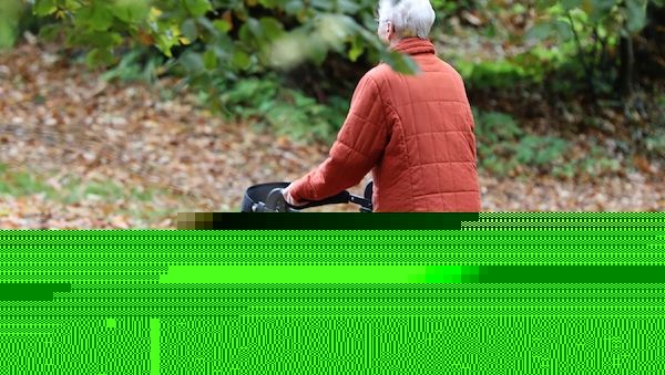 Ökonom kritisiert Rentenpolitik der Bundesregierung