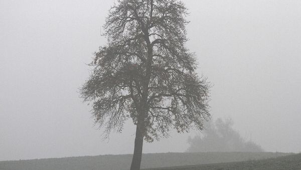 Wetterbericht für Bayern (03.12.2025)