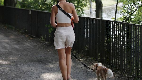 Köln plant erste Erhöhung der Hundesteuer seit 22 Jahren