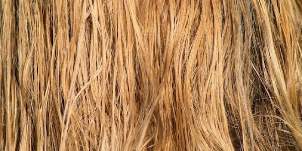 Institut für Naturkosmetik: Warum Sonne, Salz und Chlor das Haar schädigen
