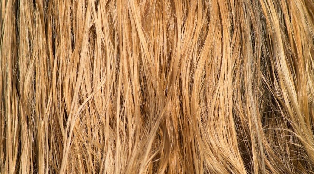 Naturkosmetik – Die 5 Pflegetipps für sonnengeschädigtes Haar- so bleibt es gesund, glänzend und geschmeidig