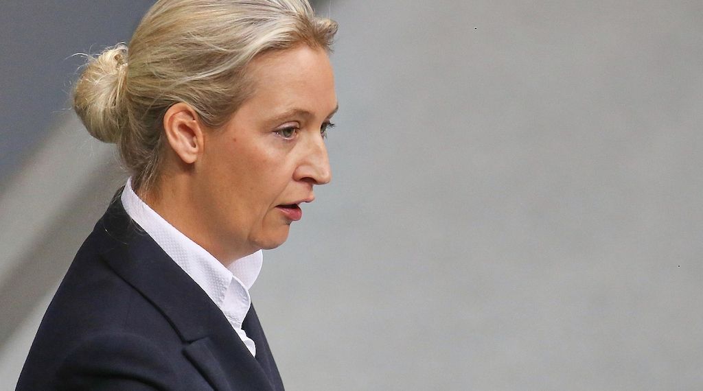 CDU und Grüne kritisieren Weidel für Verfassungsschutz-Aussage