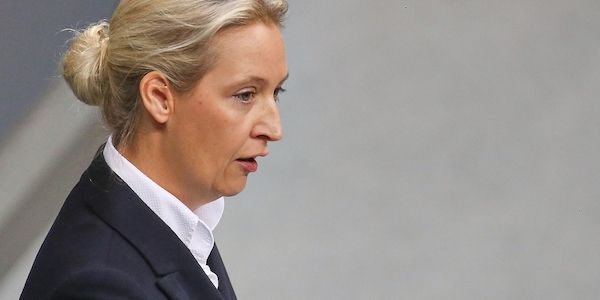 CDU und Grüne kritisieren Weidel für Verfassungsschutz-Aussage