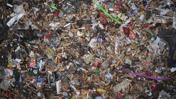 Illegale Abfallentsorgung in Tegeler Schutzgebiet