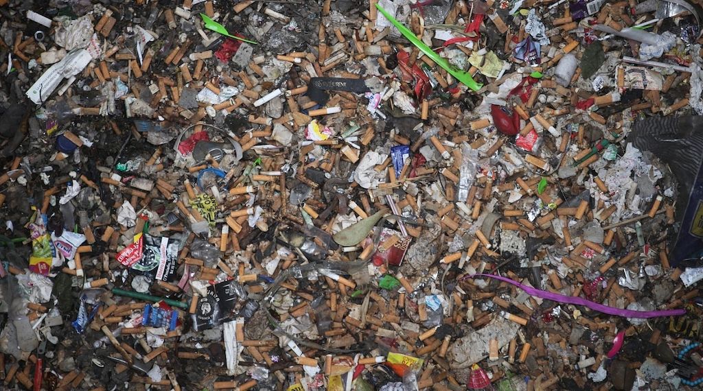 Berlin: Illegale Abfallentsorgung in Tegeler Schutzgebiet