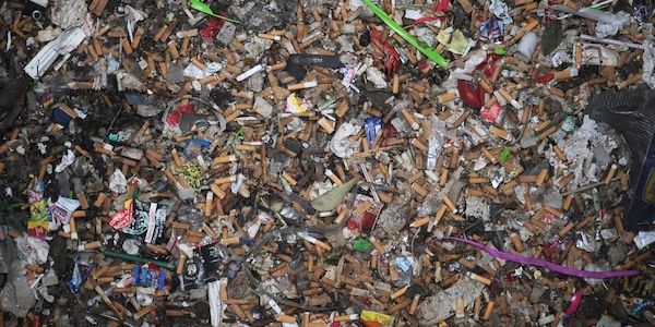 Berlin: Illegale Abfallentsorgung in Tegeler Schutzgebiet