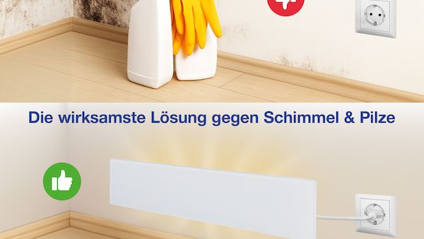 Schimmel entfernen ohne Chemie – effektive Wärme statt Spray!