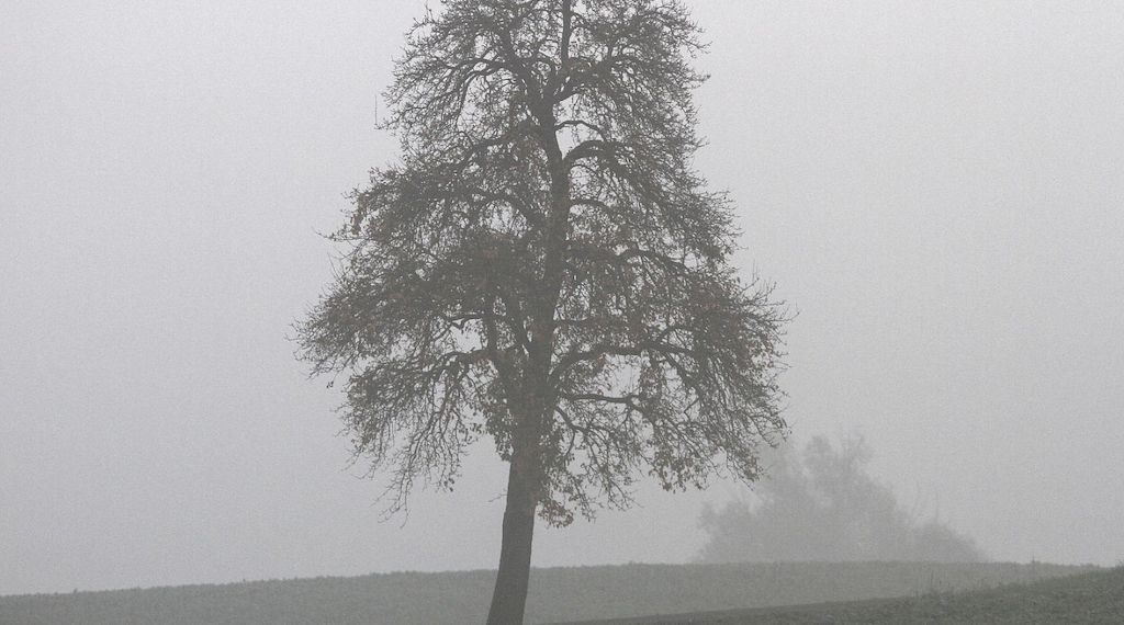 Oktober 2025 in Deutschland ungewöhnlich nass und trüb