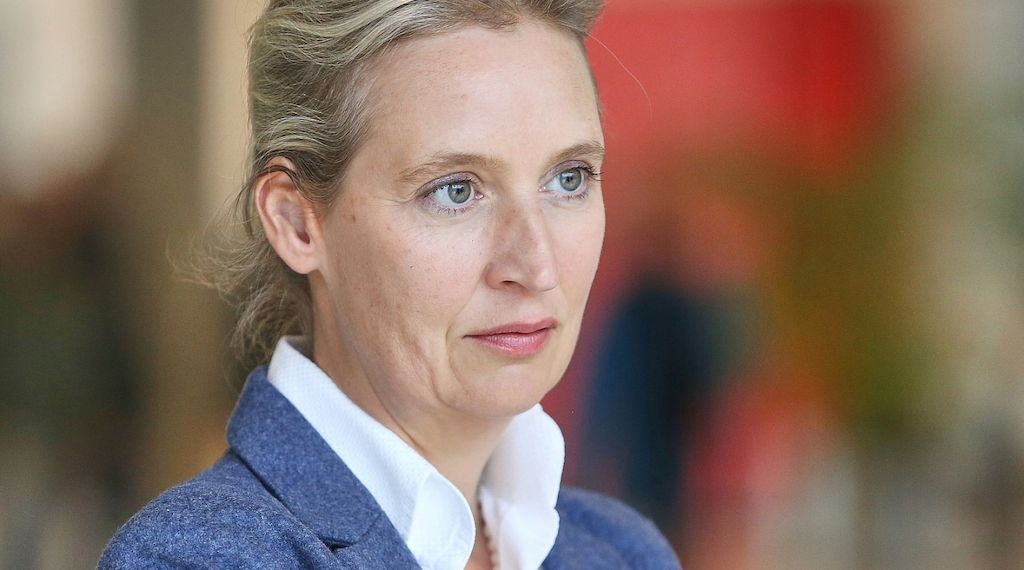 Spionagevorwürfe: Spahn fordert Aufklärung von AfD-Chefin Weidel