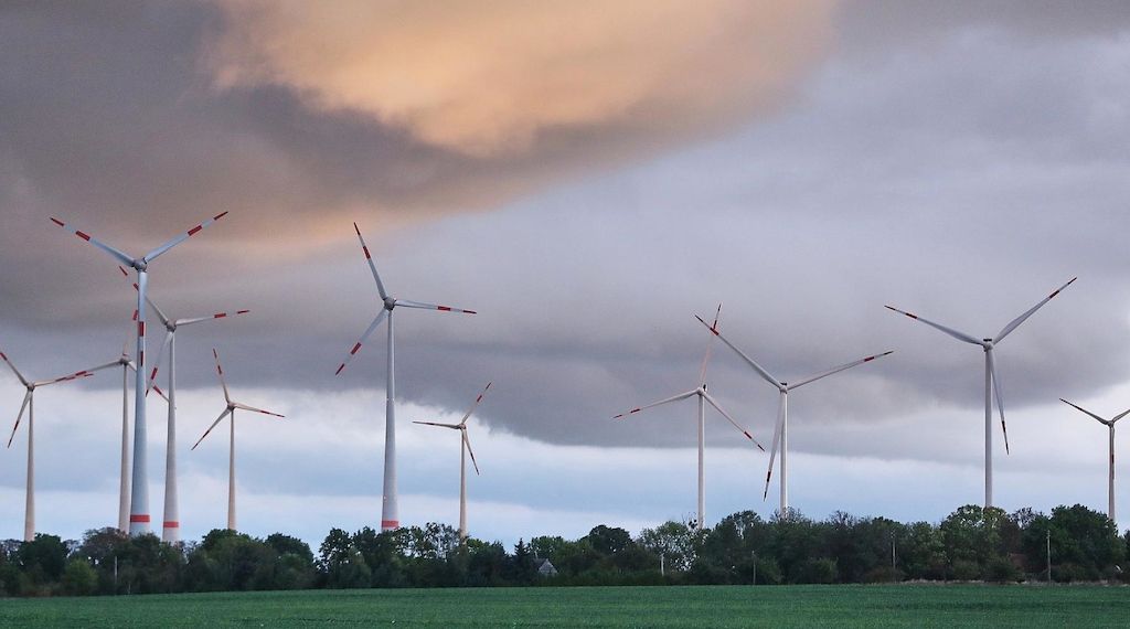 Brandenburger Grüne kritisieren Ost-Länder-Vorstoß zu Windkraftflächen