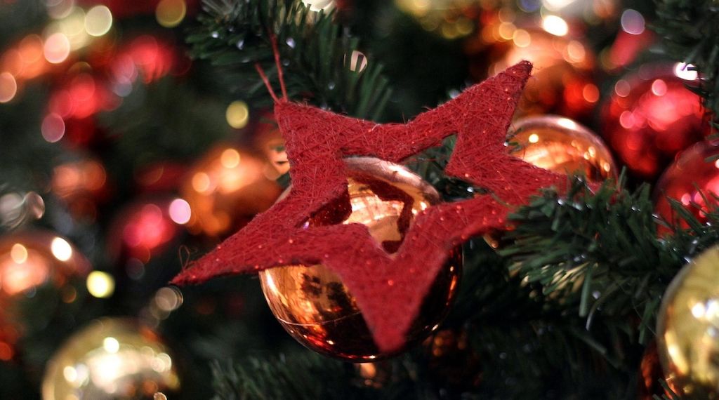 Dänemark liefert mehr als 80 Prozent der Weihnachtsbäume nach NRW