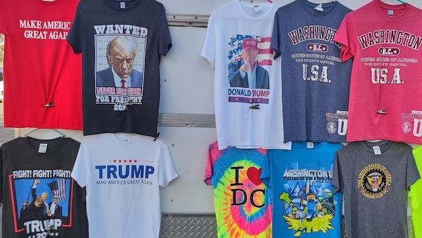 Grüne kritisieren AfD-Vernetzung mit MAGA-Bewegung