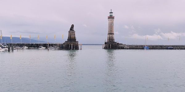 900.000 Euro für länderübergreifenden Fischschutz am Bodensee