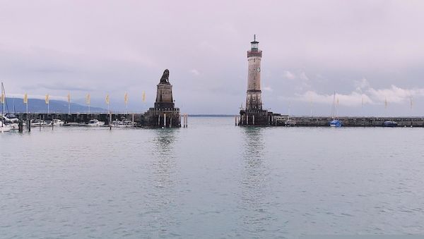 900.000 Euro für länderübergreifenden Fischschutz am Bodensee