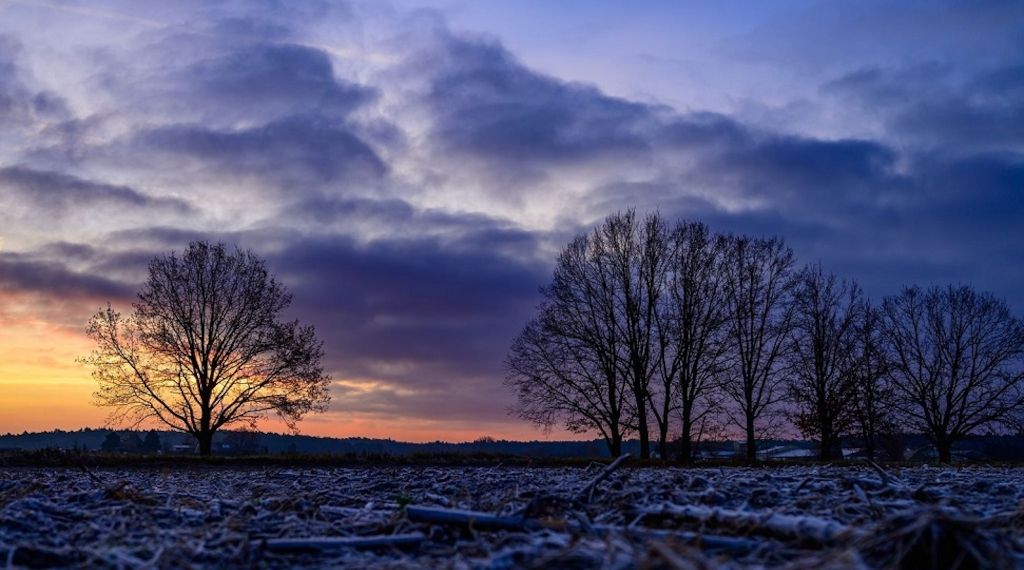 Nur Hauch von Schnee: Weißer Heiligabend unwahrscheinlich