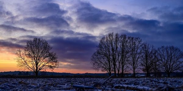 Nur Hauch von Schnee: Weißer Heiligabend unwahrscheinlich