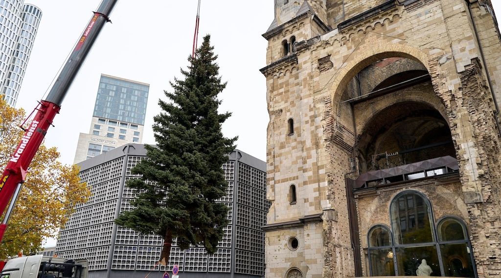 Weihnachtsbaum schmückt wieder die Gedächtniskirche in Berlin