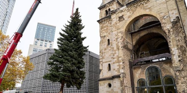 Weihnachtsbaum schmückt wieder die Gedächtniskirche in Berlin