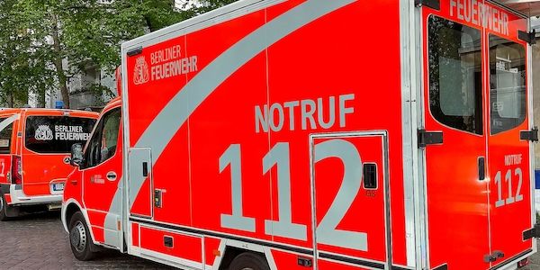 Gefahrenbremsung eines BVG-Busses wegen eines Wildschweines in Berlin-Hellersdorf