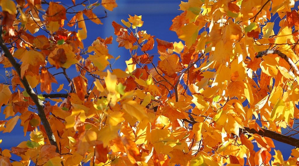 Wetterbericht für Berlin/Brandenburg (07.11.2025)