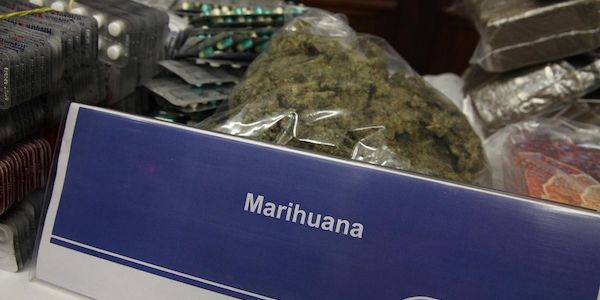 Mehr als eine Tonne Marihuana in Spandau sichergestellt